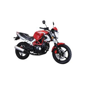 HL250-19P